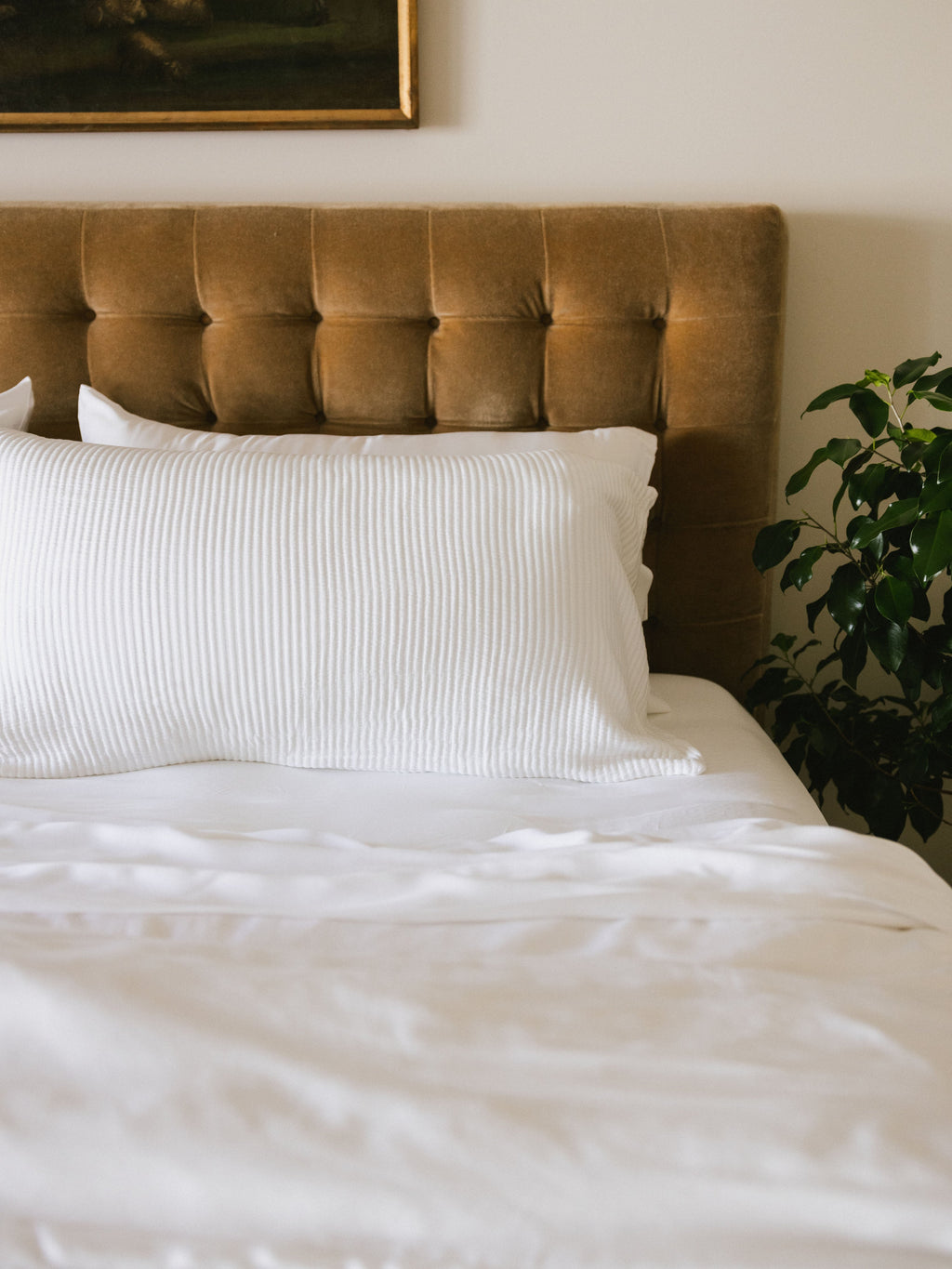Bamboo Coverlet Shams
