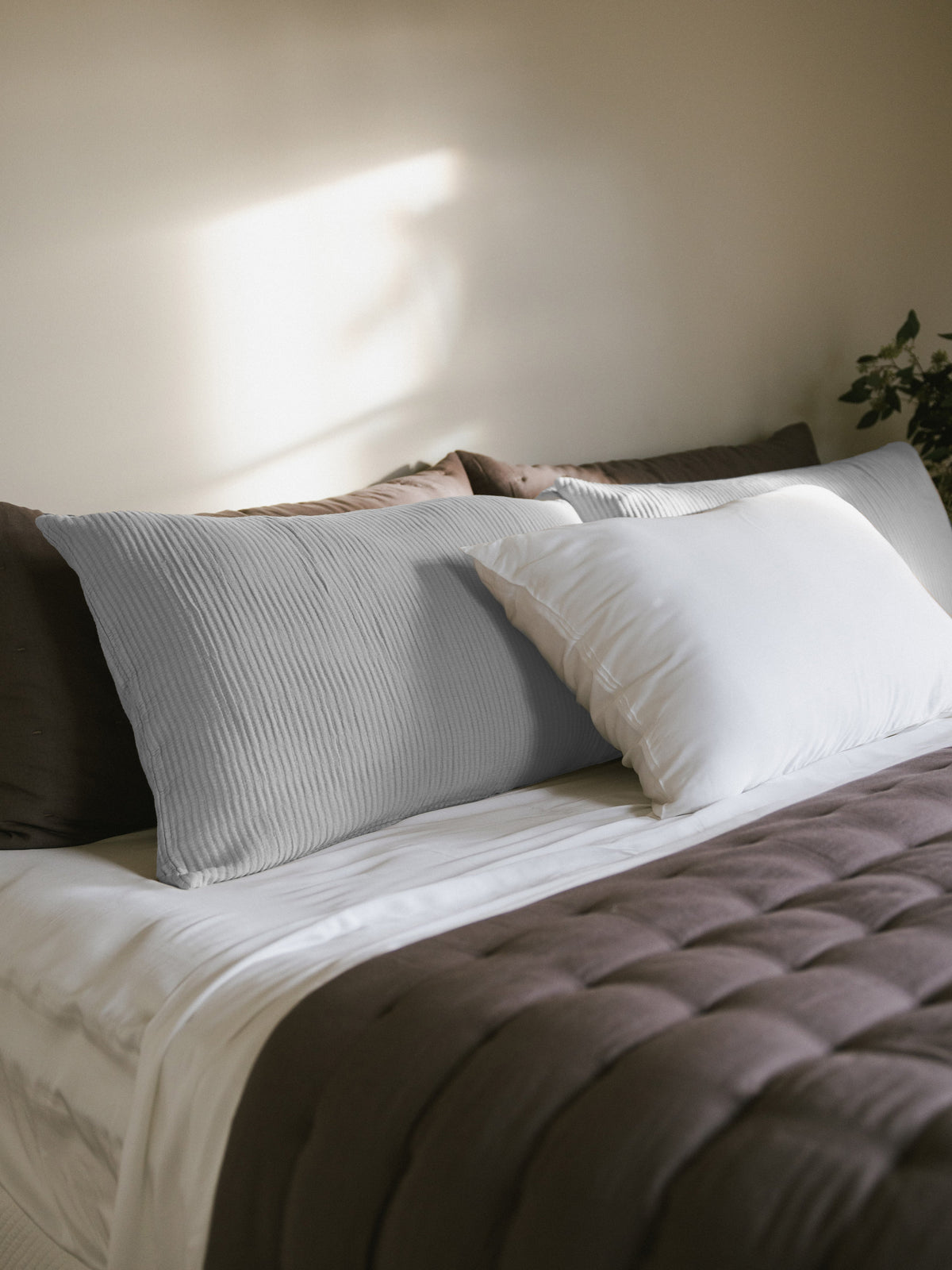 Bamboo Coverlet Shams